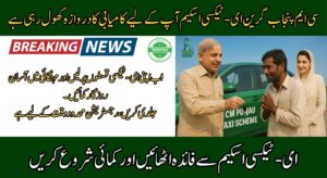 CM Punjab Green E-Taxi Scheme