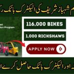 PM Electric Bike Rickshaw Scheme
