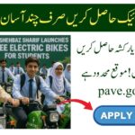 Pave gov pk Portal PM Electric Bike Rickshaw Scheme Registration