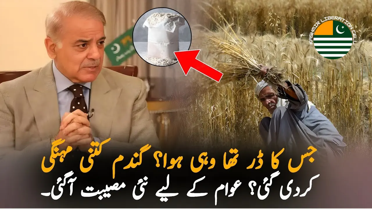 Punjab Government Fixes New Prices for Roti and Flour