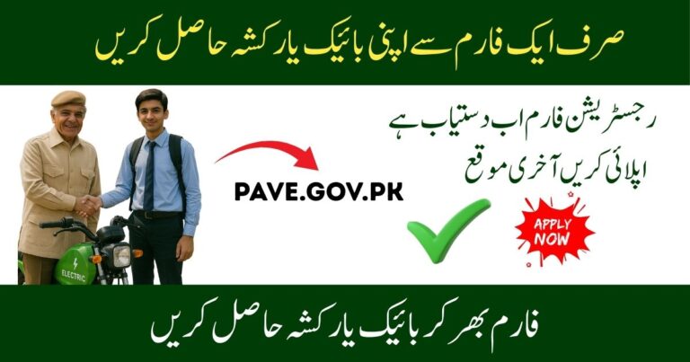 Pave gov pk Portal PM Electric Bike Rickshaw Scheme Form